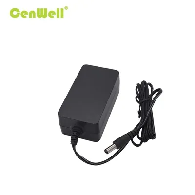 OEM 48W 12V 24V skrifborðsstraumbreytir